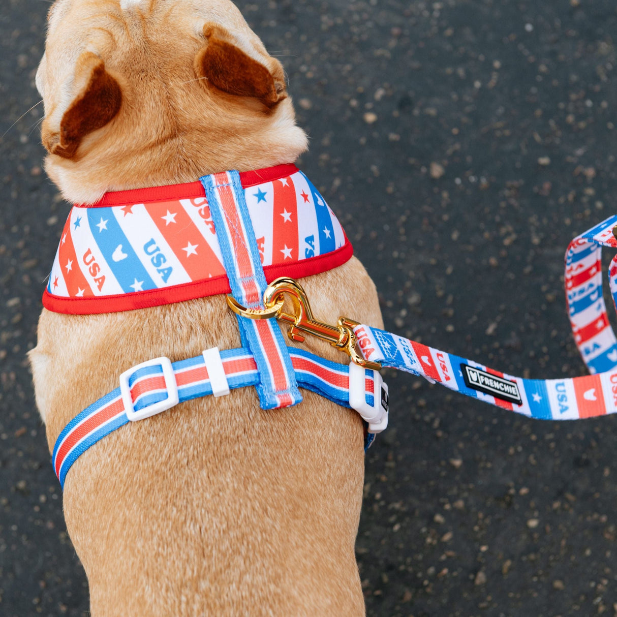 Frenchie Duo Reversible Harness - USA from Frenchie Bulldog