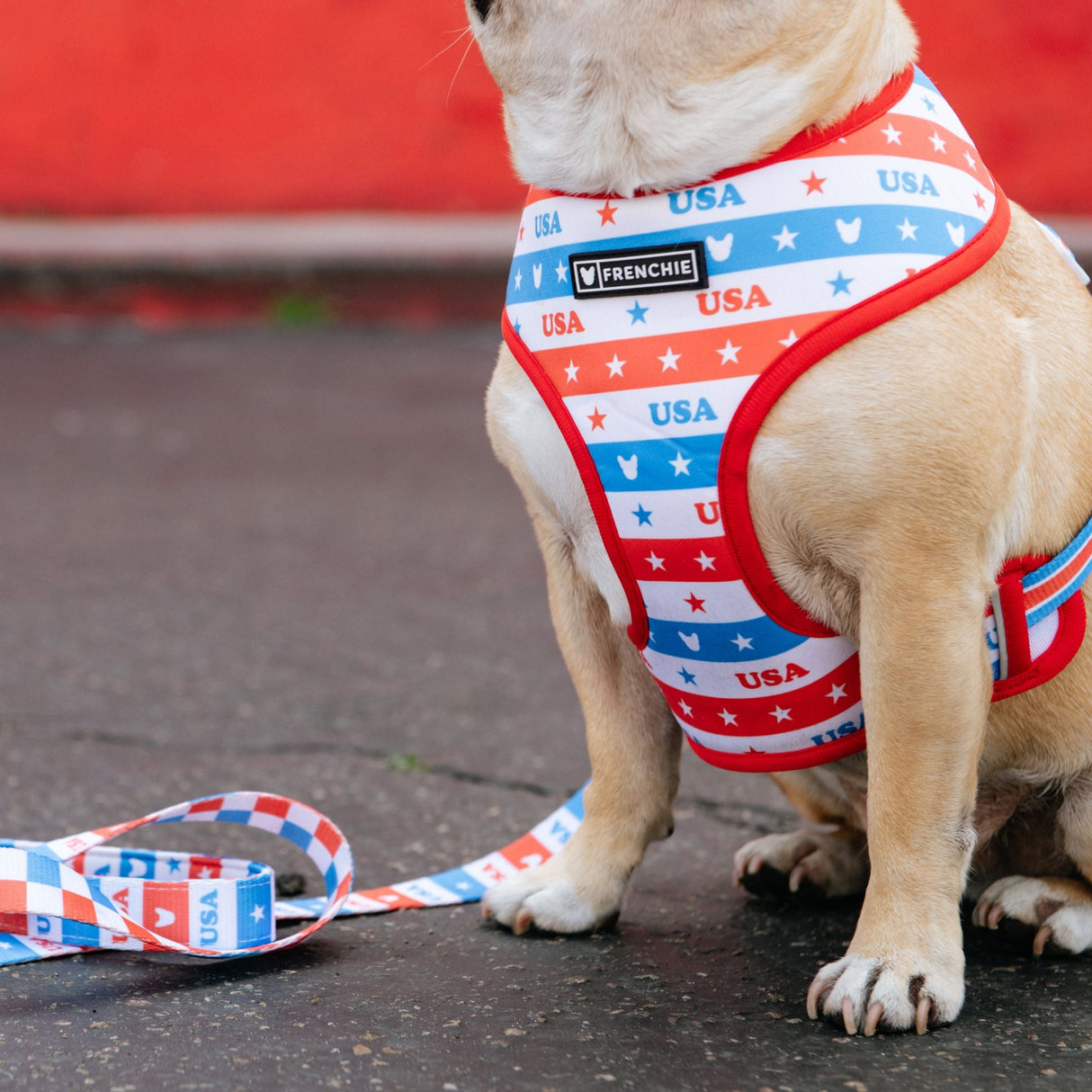 Frenchie Duo Reversible Harness - USA from Frenchie Bulldog