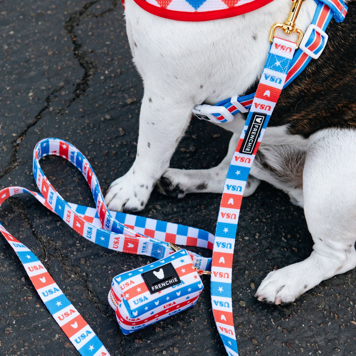 Frenchie Comfort Leash - USA from Frenchie Bulldog