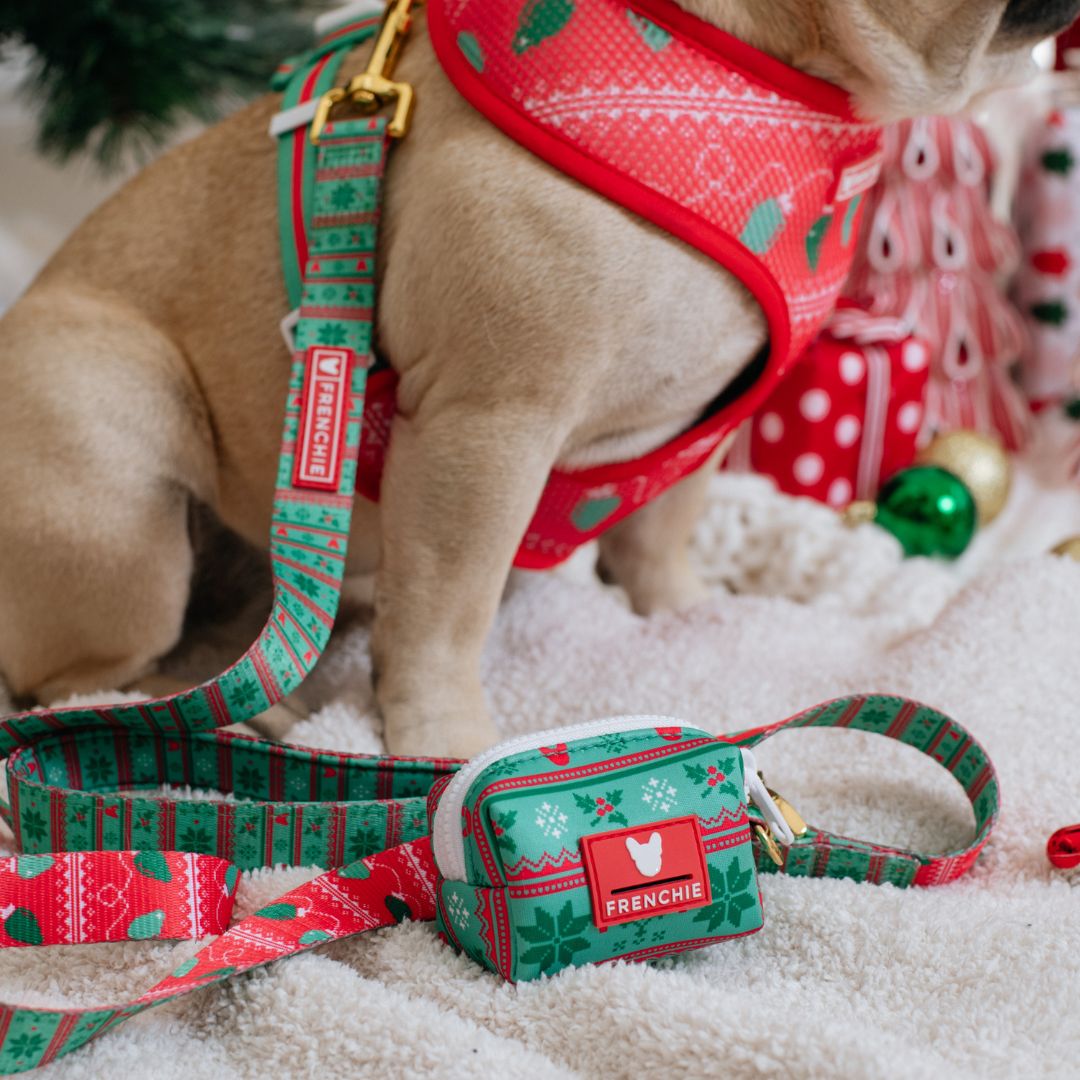Frenchie Comfort Leash - Ugly Sweater from Frenchie Bulldog