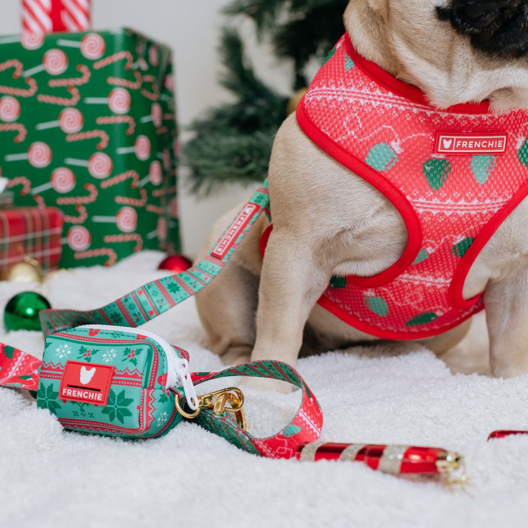 Frenchie Comfort Leash - Ugly Sweater from Frenchie Bulldog