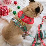 Frenchie Comfort Leash - Ugly Sweater from Frenchie Bulldog