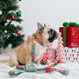 Frenchie Comfort Leash - Ugly Sweater from Frenchie Bulldog