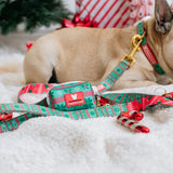 Frenchie Comfort Leash - Ugly Sweater from Frenchie Bulldog