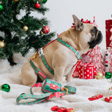 Frenchie Comfort Leash - Ugly Sweater from Frenchie Bulldog