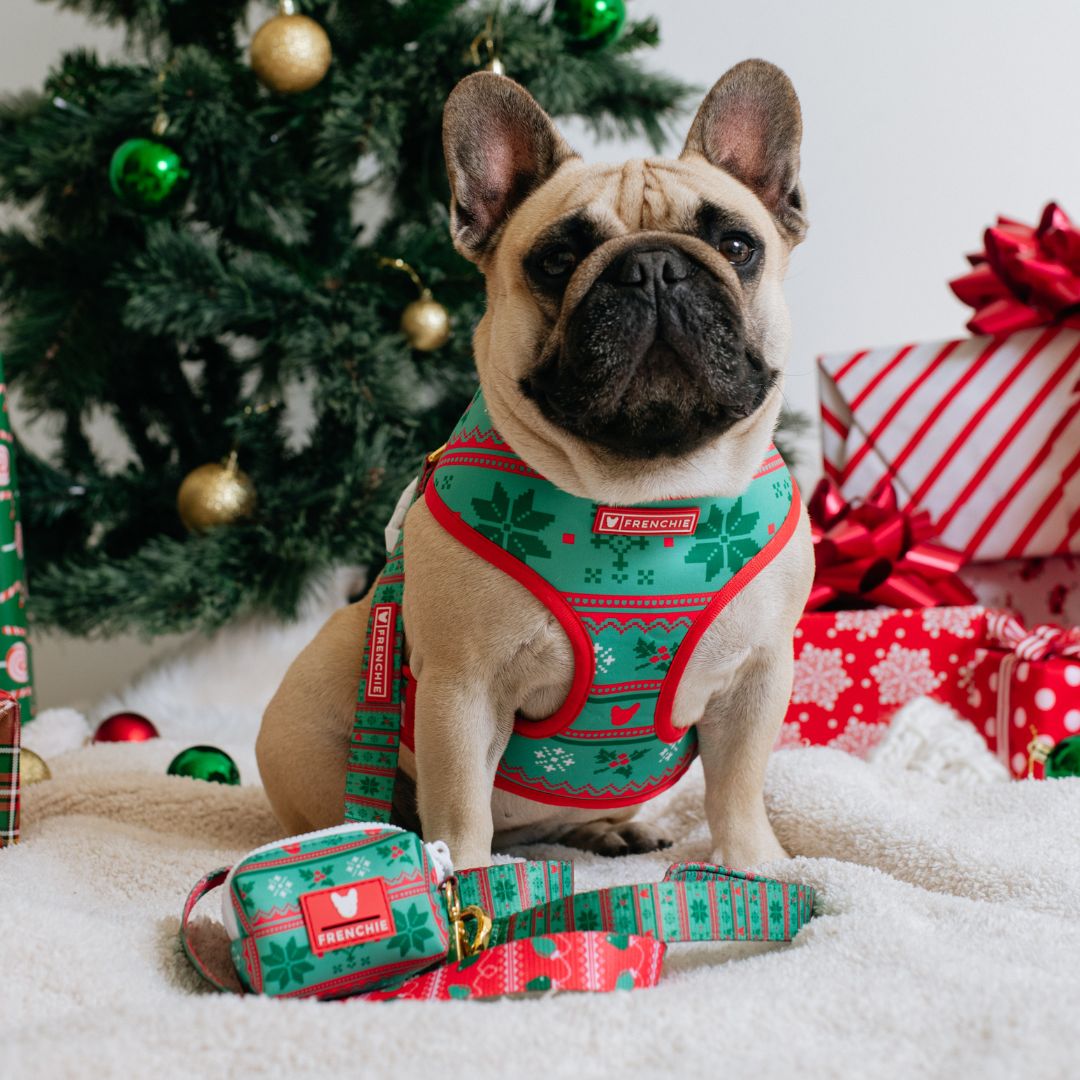 Frenchie Comfort Leash - Ugly Sweater from Frenchie Bulldog