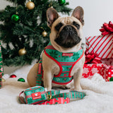 Frenchie Comfort Leash - Ugly Sweater from Frenchie Bulldog