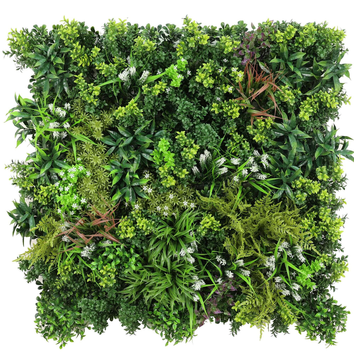 Ultra Luxury Amazon Jungle Vertical Garden 40" x 40" 11SQ FT Commercial Grade UV Resistant from Designer Plants USA