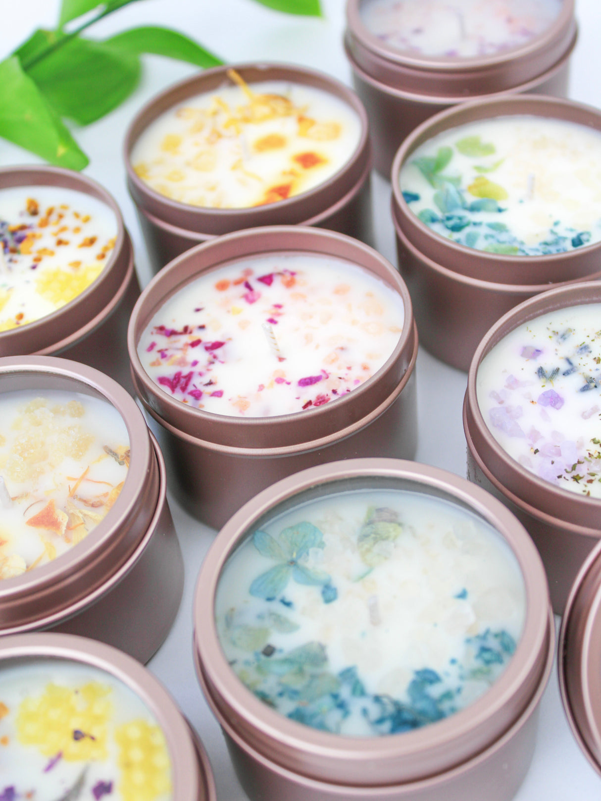 Unlabeled 4 oz Botanical Soy Wax Candles - Party Favors from Ash & Rose