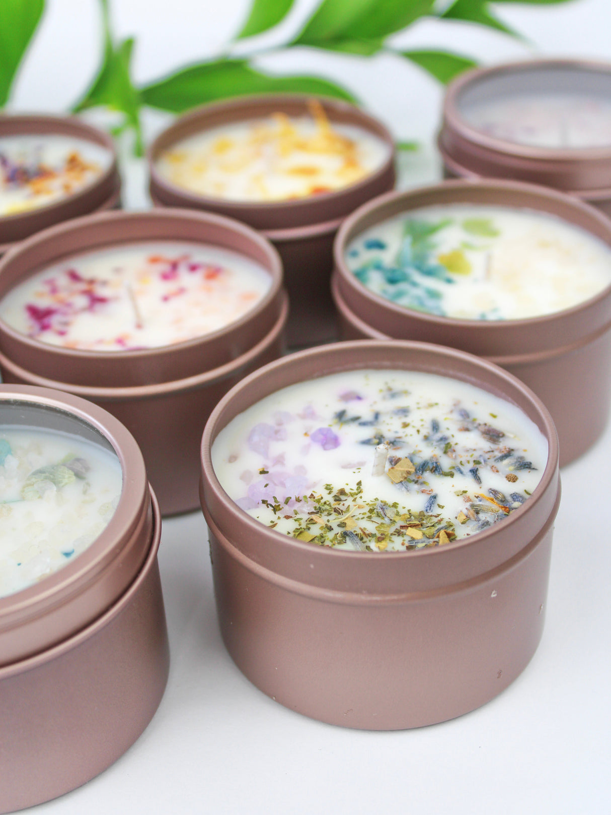 Unlabeled 4 oz Botanical Soy Wax Candles - Party Favors from Ash & Rose