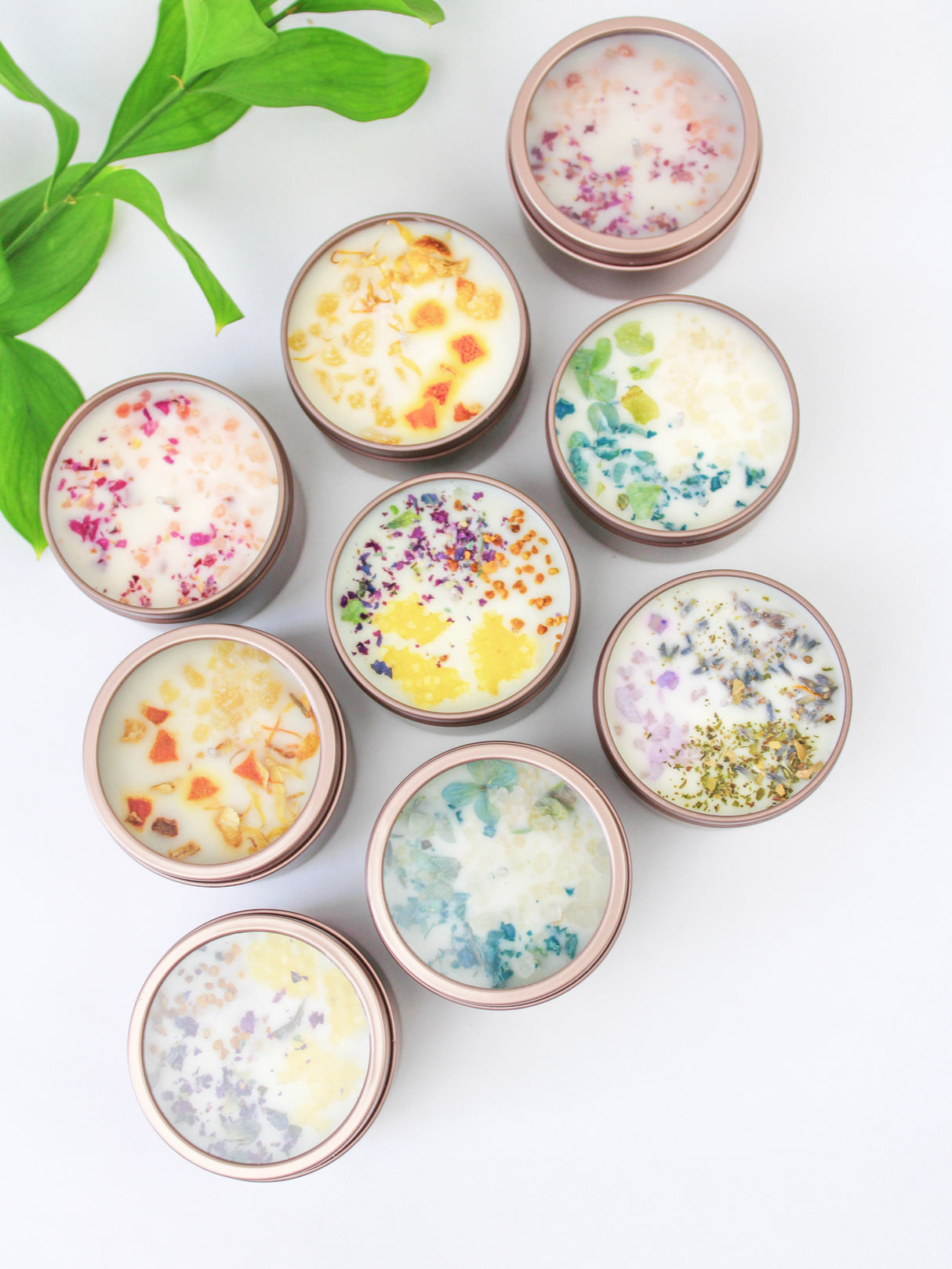 Unlabeled 4 oz Botanical Soy Wax Candles - Party Favors from Ash & Rose
