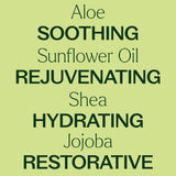 Unscented Body Lotion with Aloe and Shea from Plant Therapy
