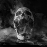 Spirits from Wicked Good Perfume