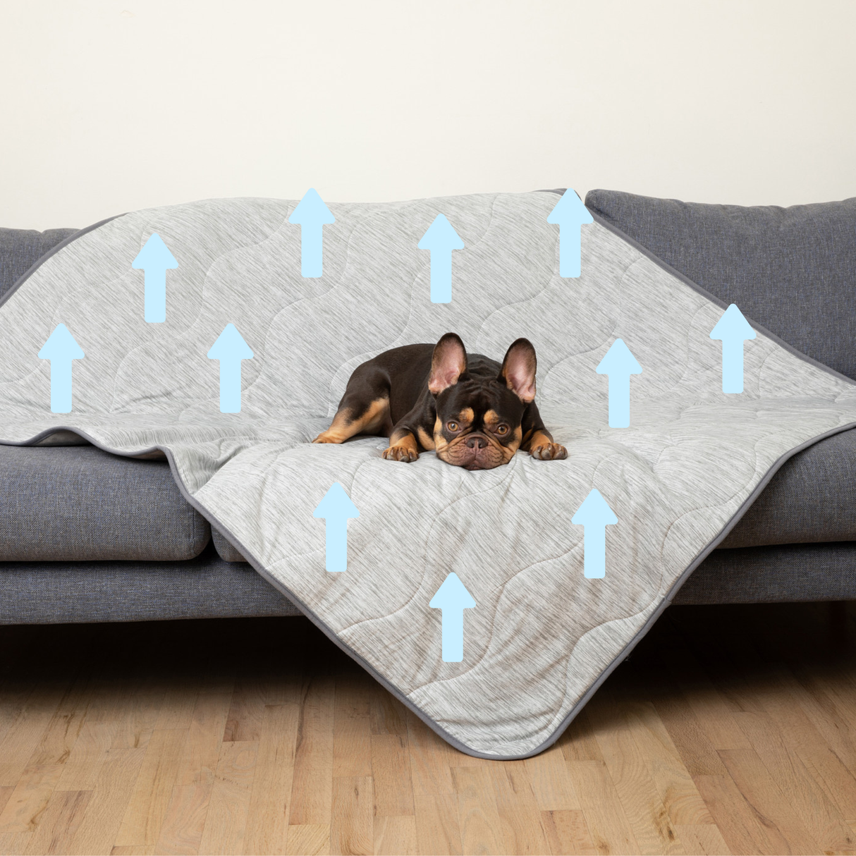 PupChill™ Cooling Waterproof Blanket - Arctic Grey from Paw.com