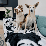 PupProtector™ Waterproof Throw Blanket - Black Faux Cowhide from Paw.com