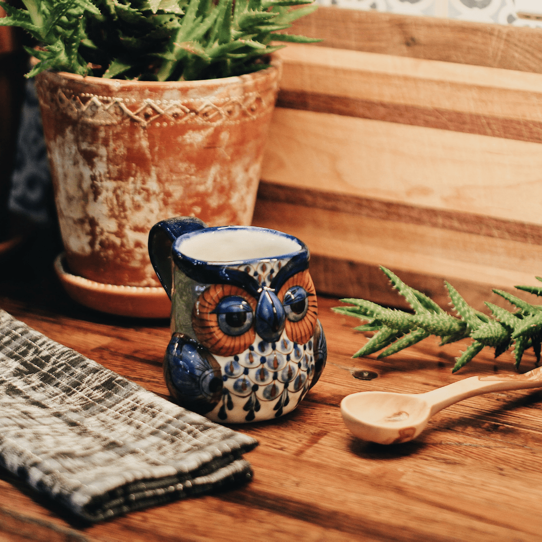 Stoneware Owl Mug from Upavim Crafts