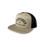 DadVibes FLAT Bill SnapBack