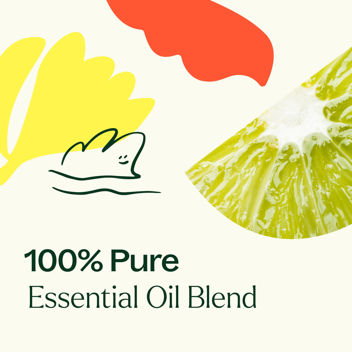 Unwind Essential Oil Blend from Plant Therapy