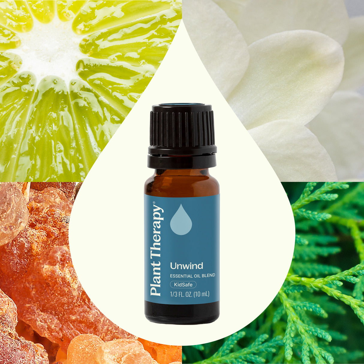 Unwind Essential Oil Blend from Plant Therapy