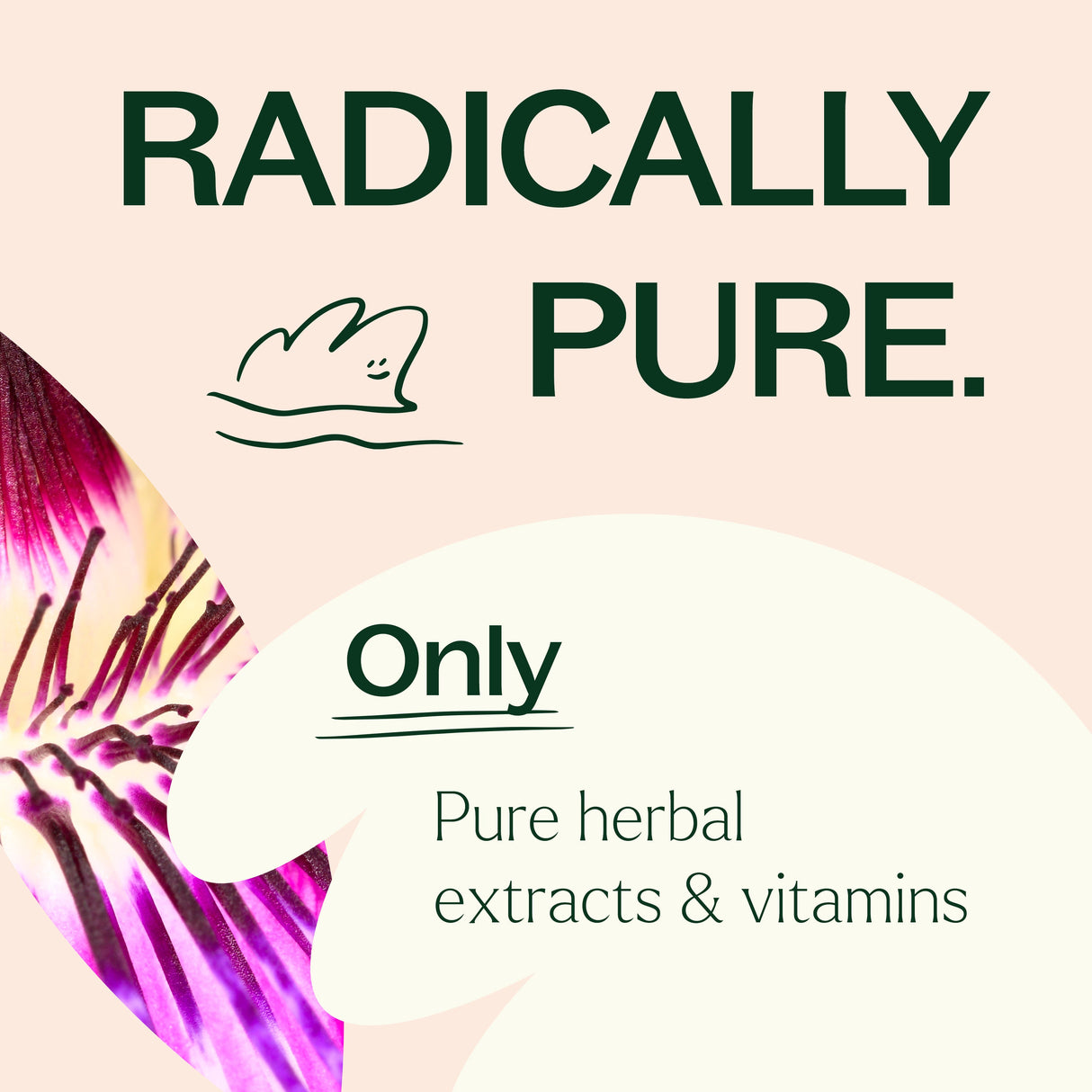 Unwind Your Mind Herbal Supplement - 120 Capsules from Plant Therapy
