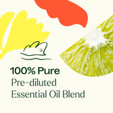 Unwind Essential Oil Blend from Plant Therapy
