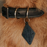 Leather Dog Collar - Designer All for American from Lifetime Leather Co.