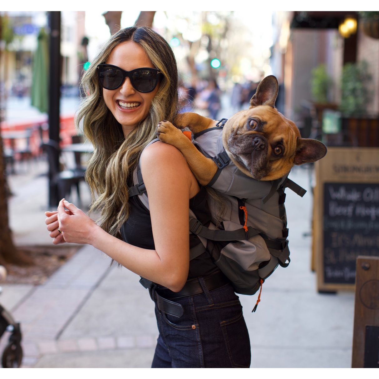 Urban 3 | Dual Use Dog Carrier & Traditional Backpack from K9 Sport Sack
