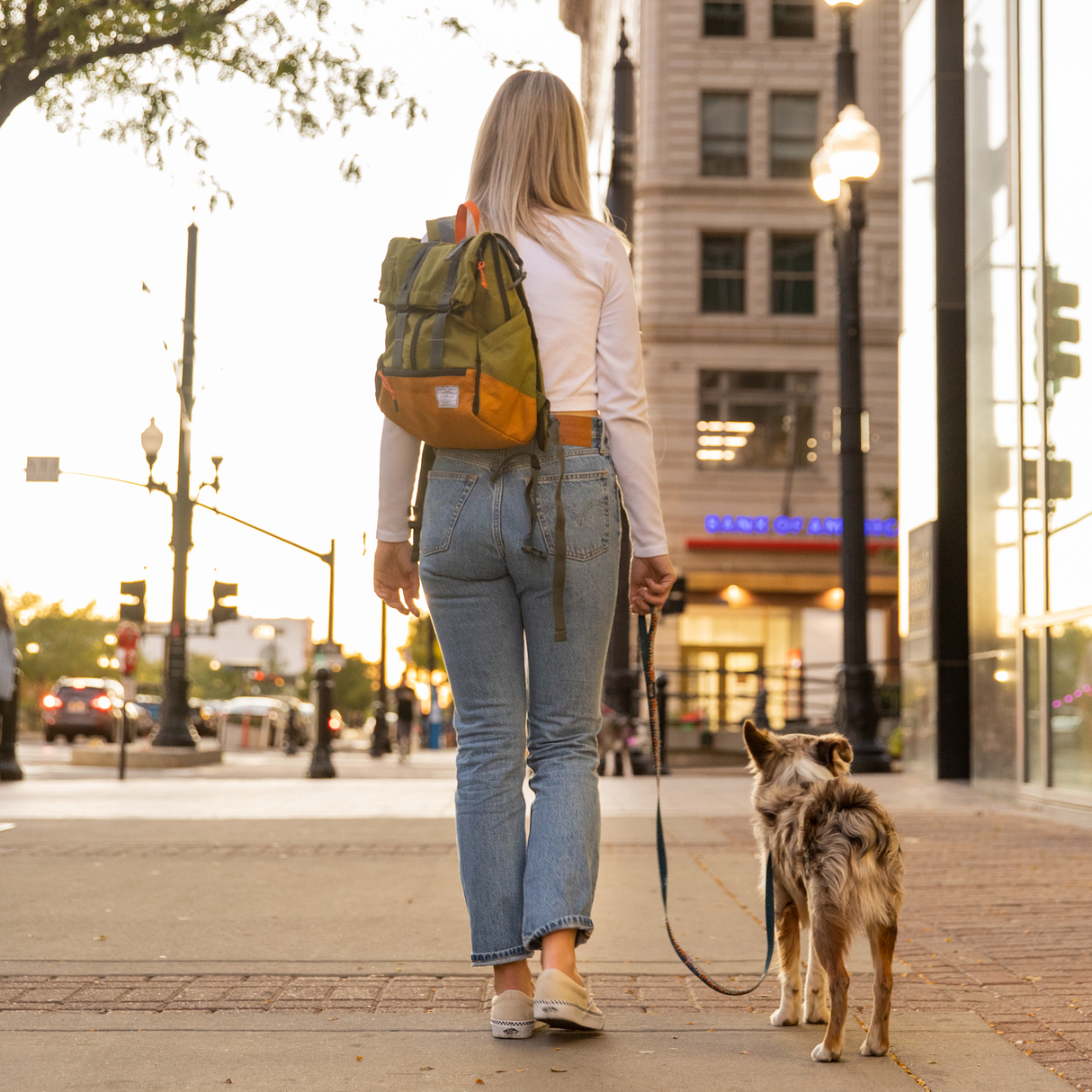 Urban 3 | Dual Use Dog Carrier & Traditional Backpack from K9 Sport Sack
