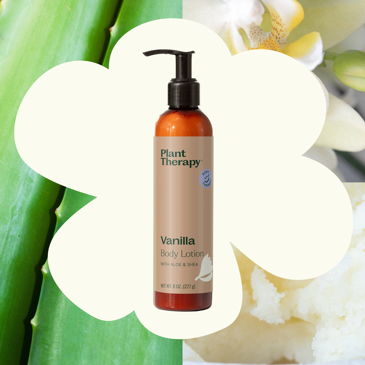 Vanilla Body Lotion with Aloe and Shea from Plant Therapy