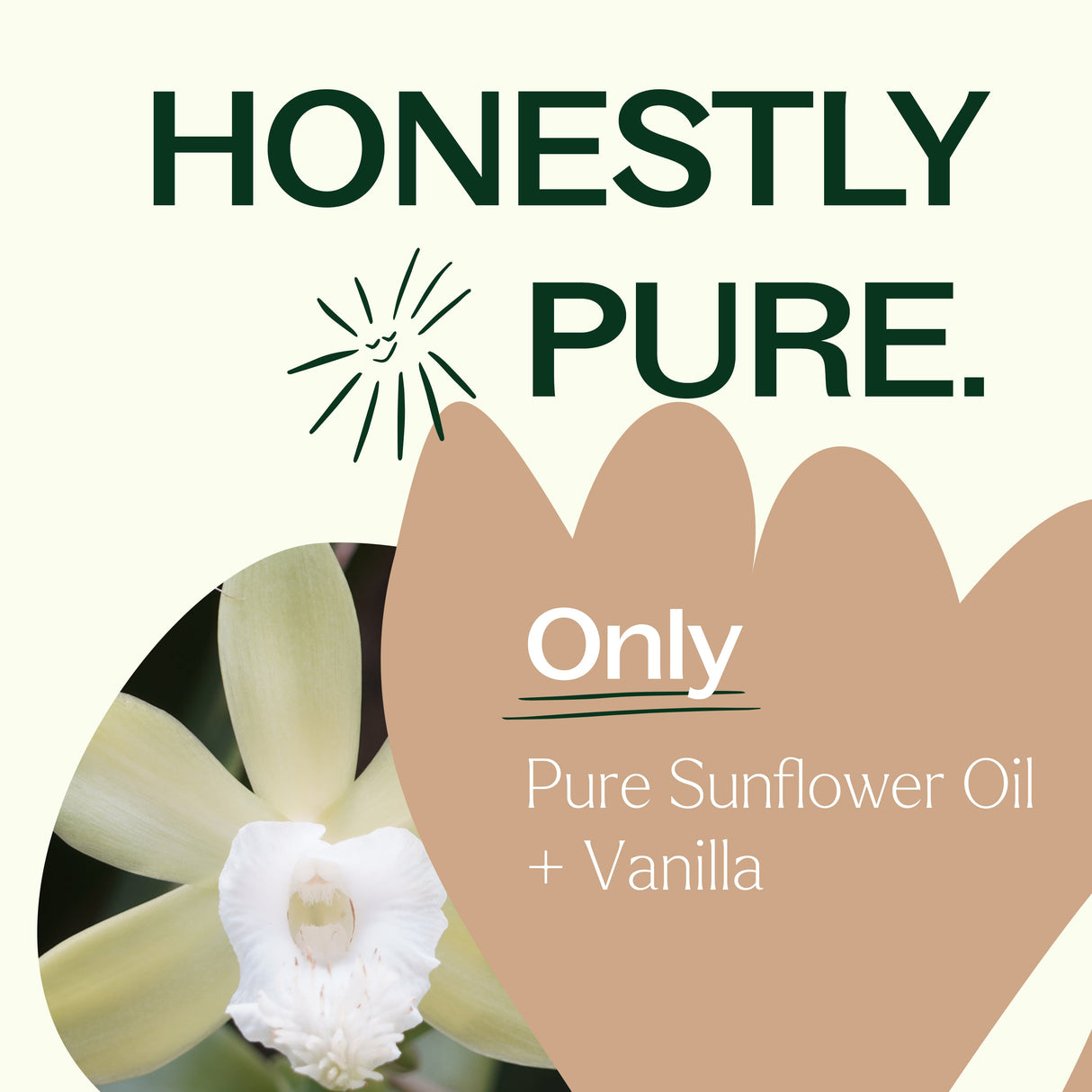 Vanilla Body Oil from Plant Therapy