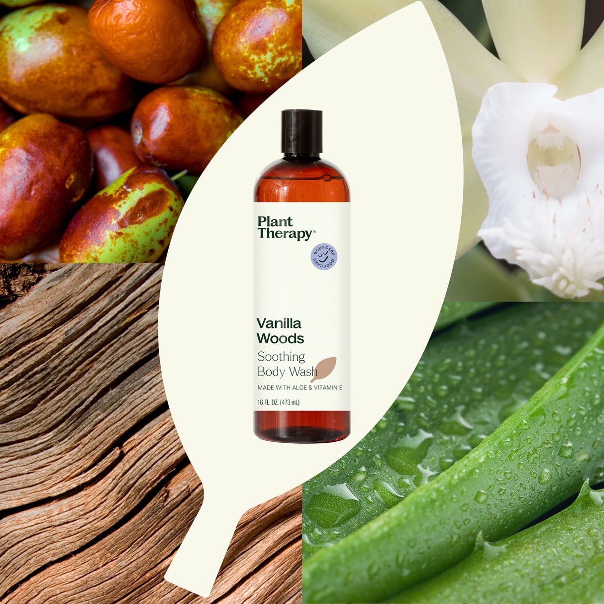 Vanilla Woods Body Wash from Plant Therapy