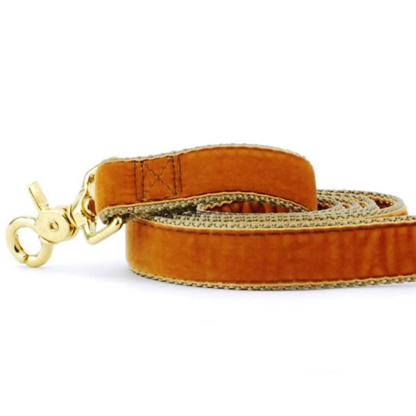 Antique Gold Velvet Dog Leash from 2 Hounds Design