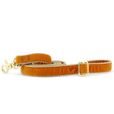Antique Gold Velvet Dog Leash from 2 Hounds Design