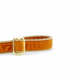 Antique Gold Velvet Dog Leash from 2 Hounds Design