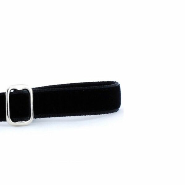 Black Velvet Dog Leash from 2 Hounds Design
