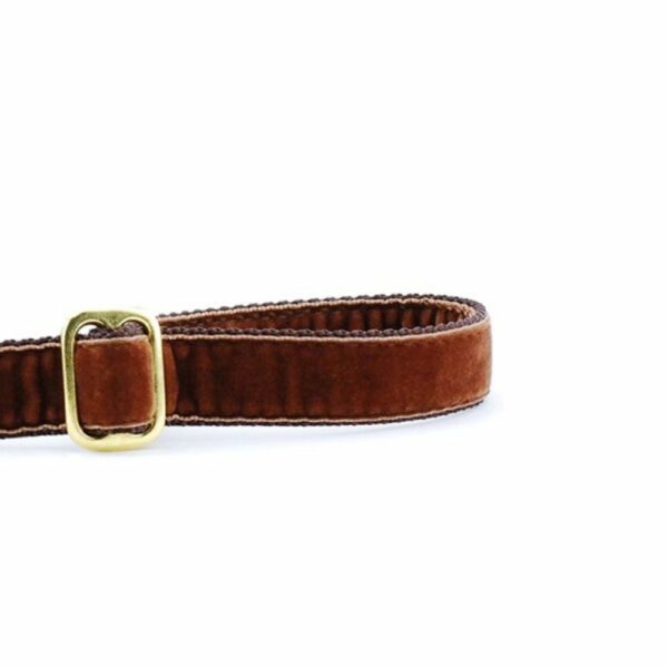 Brown Velvet Dog Leash from 2 Hounds Design