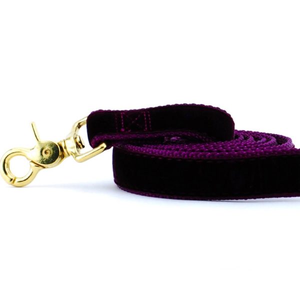 Burgundy Velvet Dog Leash from 2 Hounds Design