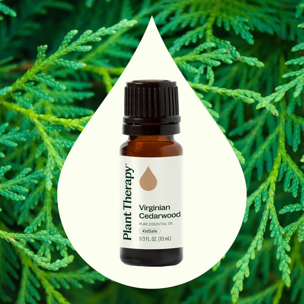 Virginian Cedarwood Essential Oil from Plant Therapy