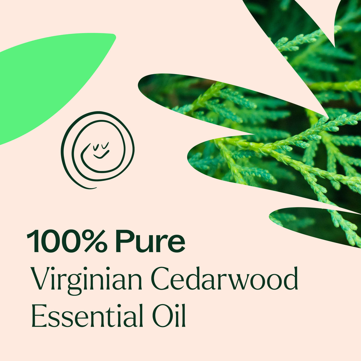 Virginian Cedarwood Essential Oil from Plant Therapy