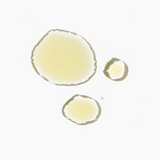 Vitamin C Serum with Probiotics From Tones by Cocoa