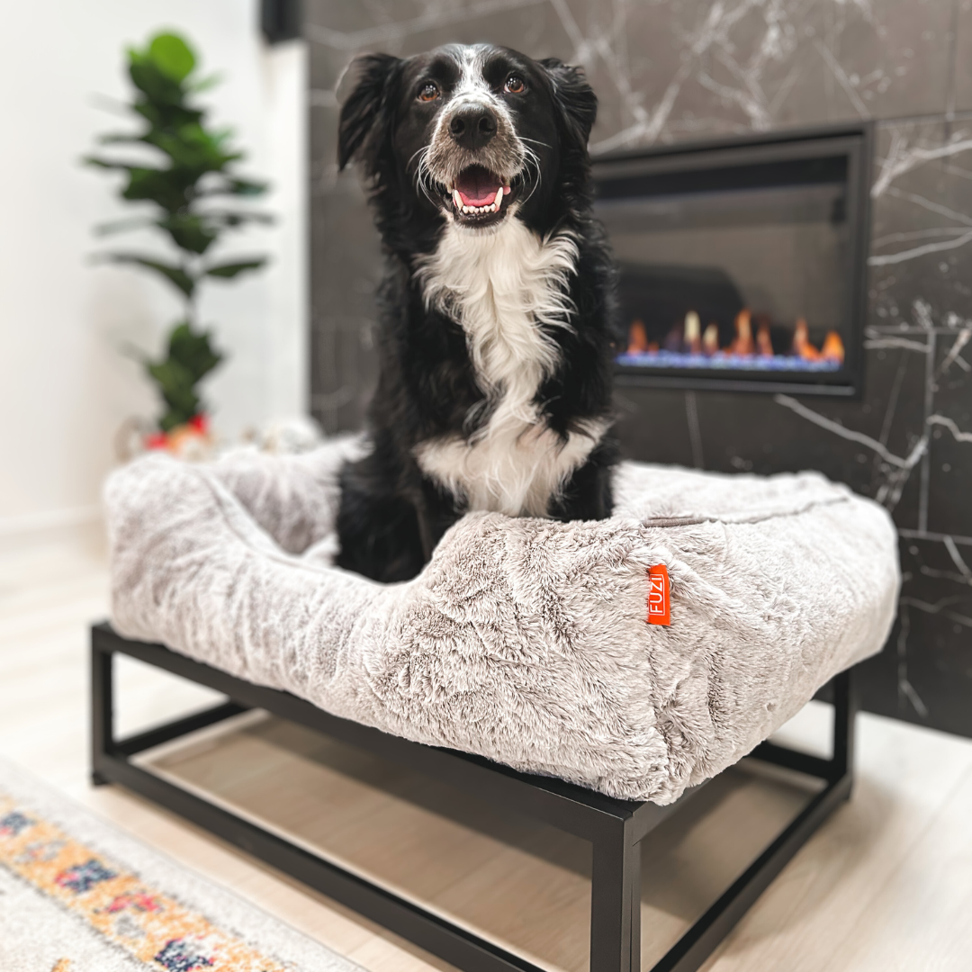 The FÜZI Dog Bed from FÜZI