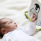 Art Cards for Baby - Black and White Collection From Wee Gallery