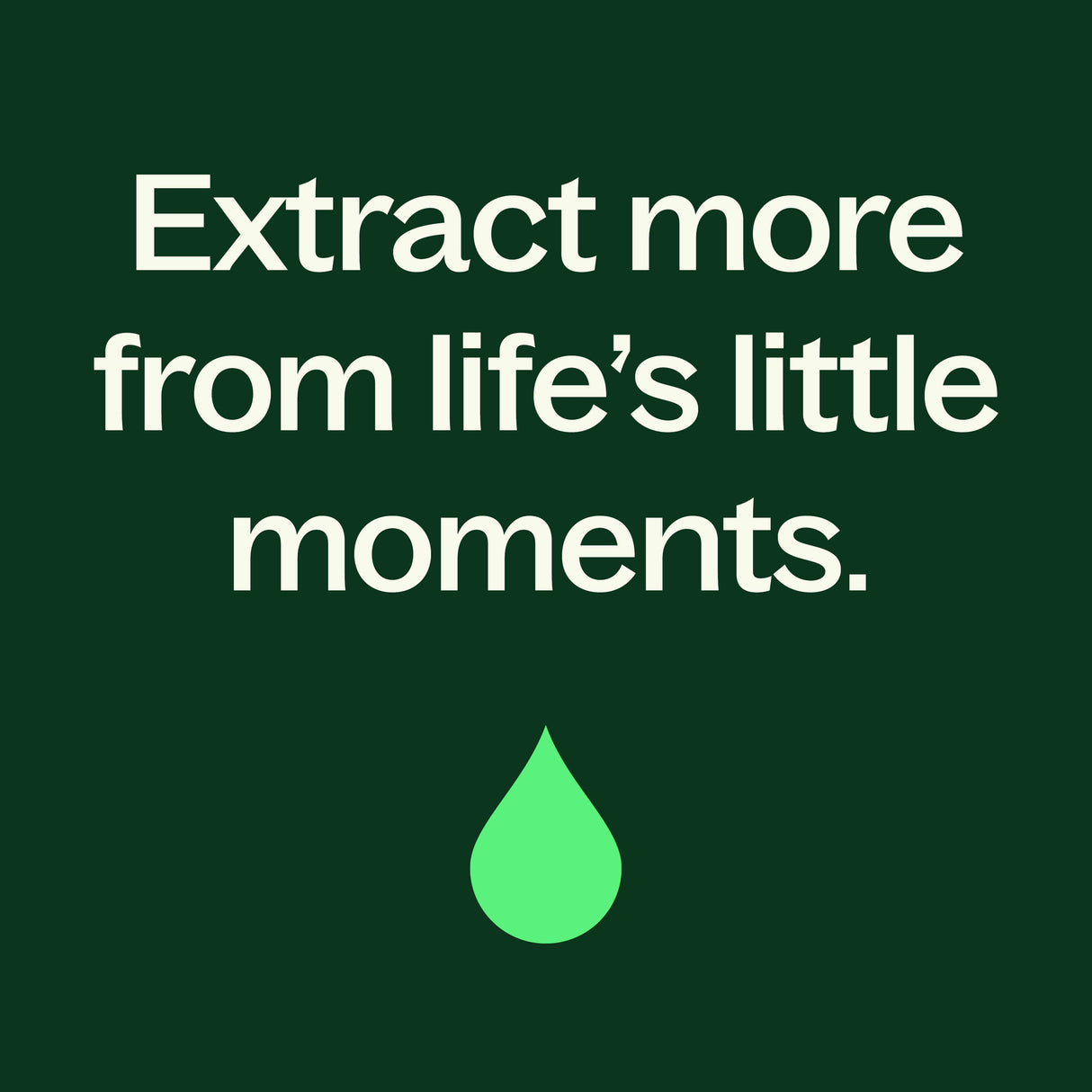 Western U.S. Peppermint Essential Oil from Plant Therapy