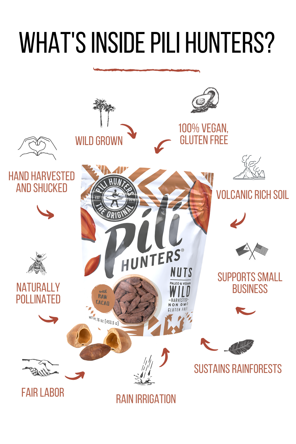Raw Cacao & Organic Coconut Sugar from Pili Hunters