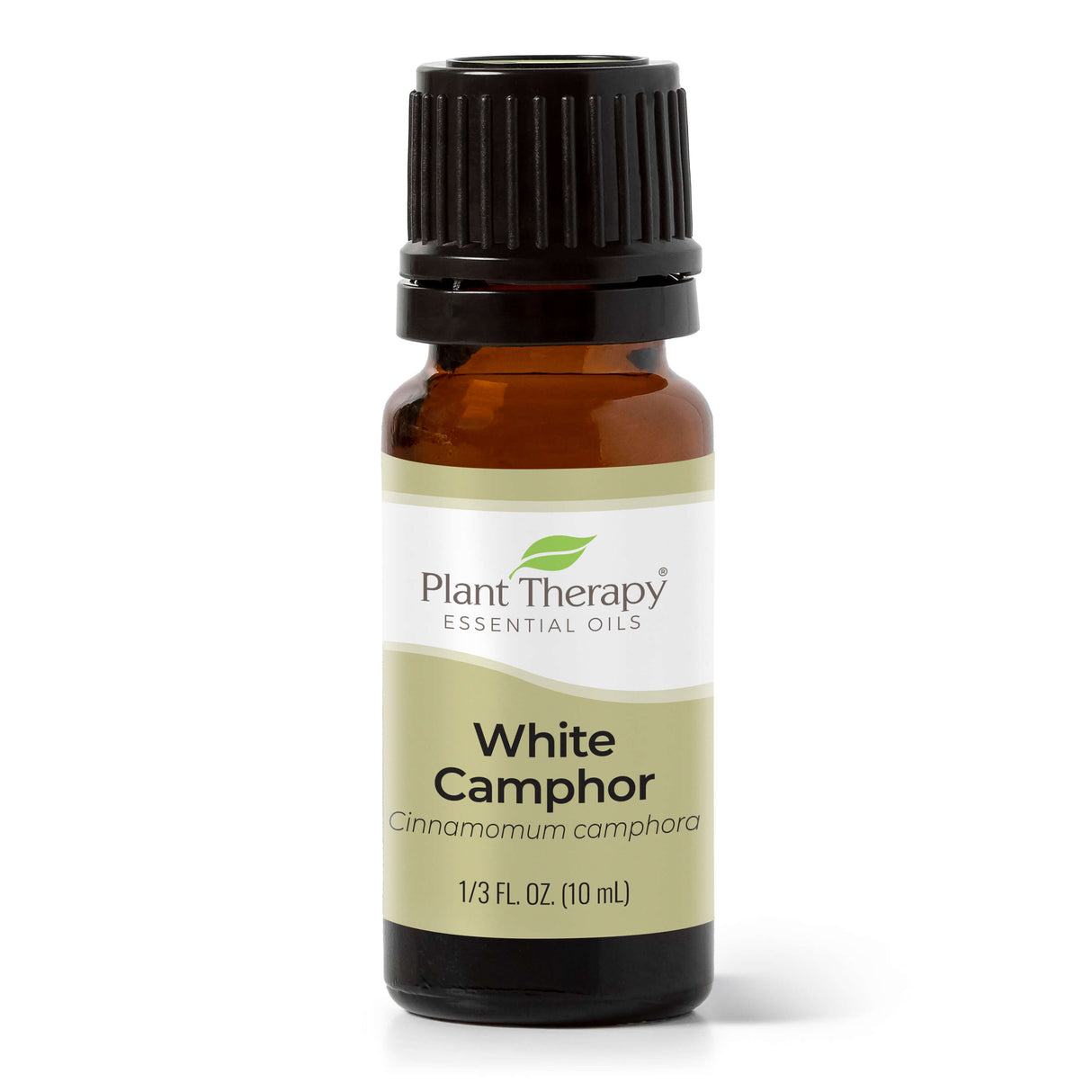 White Camphor Essential Oil from Plant Therapy