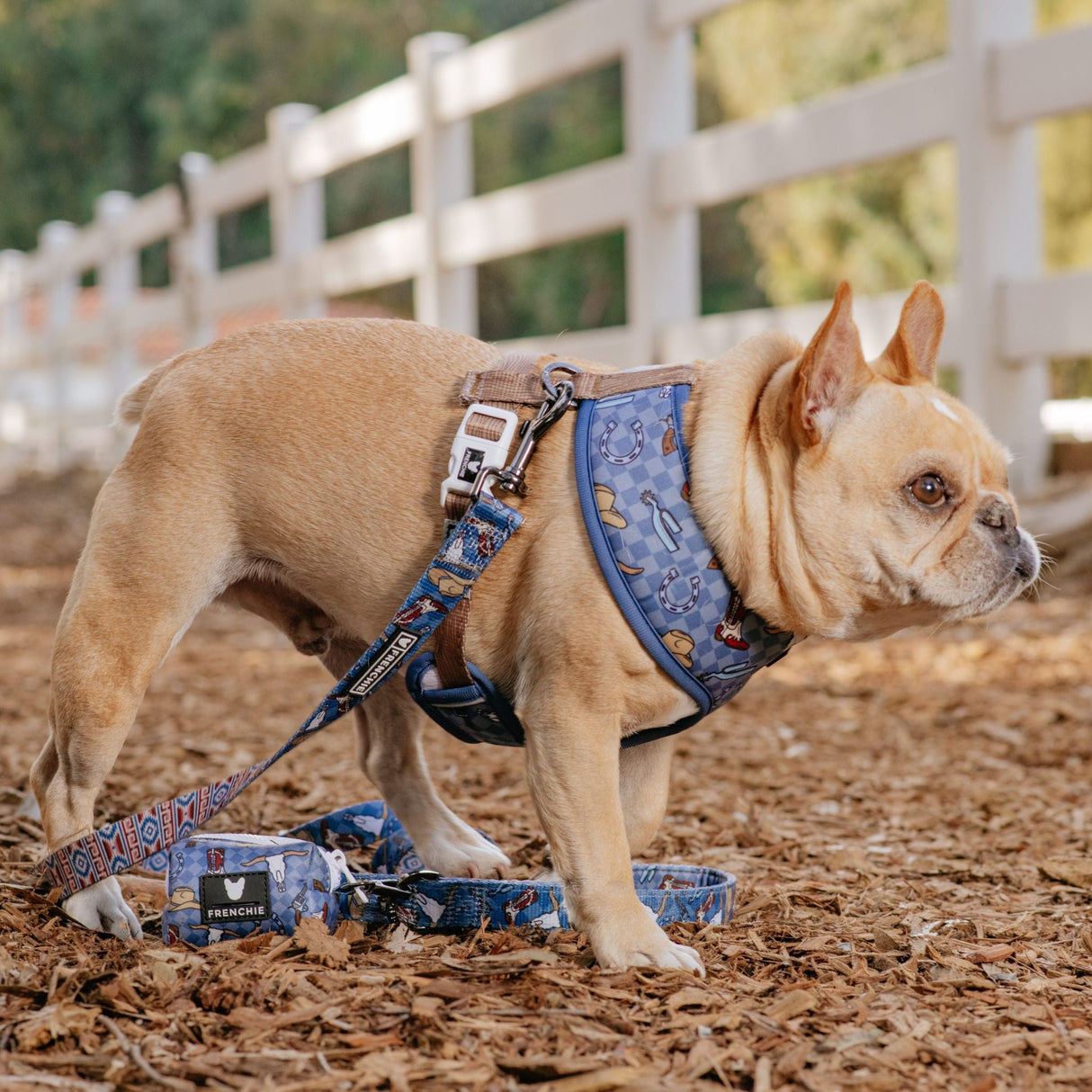 Frenchie Comfort Leash - Wild West- Blue from Frenchie Bulldog