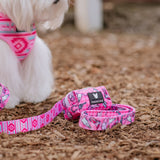 Frenchie Poo Bag Holder - Wild West- Pink from Frenchie Bulldog