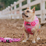 Frenchie Poo Bag Holder - Wild West- Pink from Frenchie Bulldog