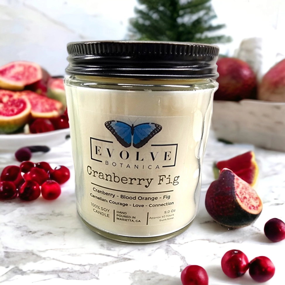 Classic 9oz Jam Jar Crystal Soy Candle - Cranberry Fig (Carnelian) from Evolve Botanica