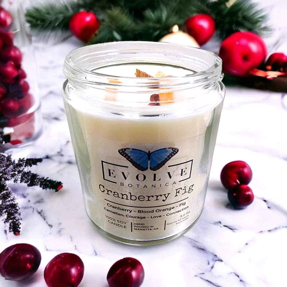 Classic 9oz Jam Jar Crystal Soy Candle - Cranberry Fig (Carnelian) from Evolve Botanica